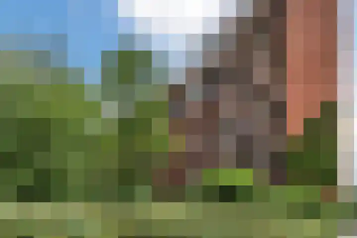 Haarlemmerweg 241 Amsterdam thumbnail 34