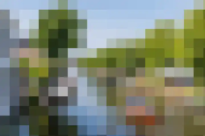 Haarlemmerweg 26 Leiden thumbnail 4