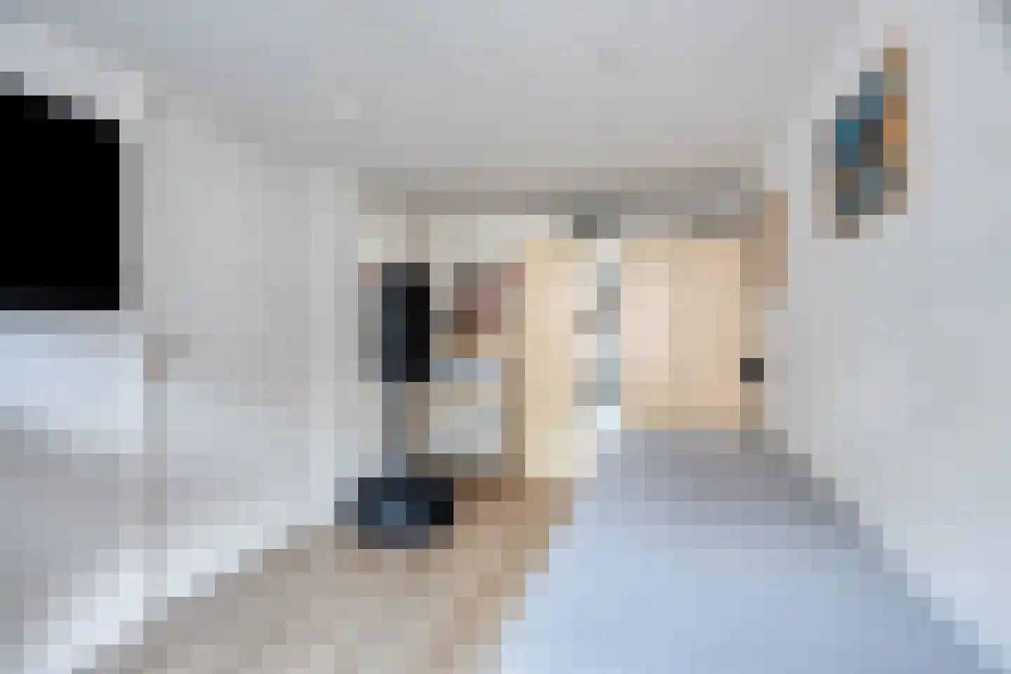 Haarlemmerweg 33 Leiden thumbnail 21