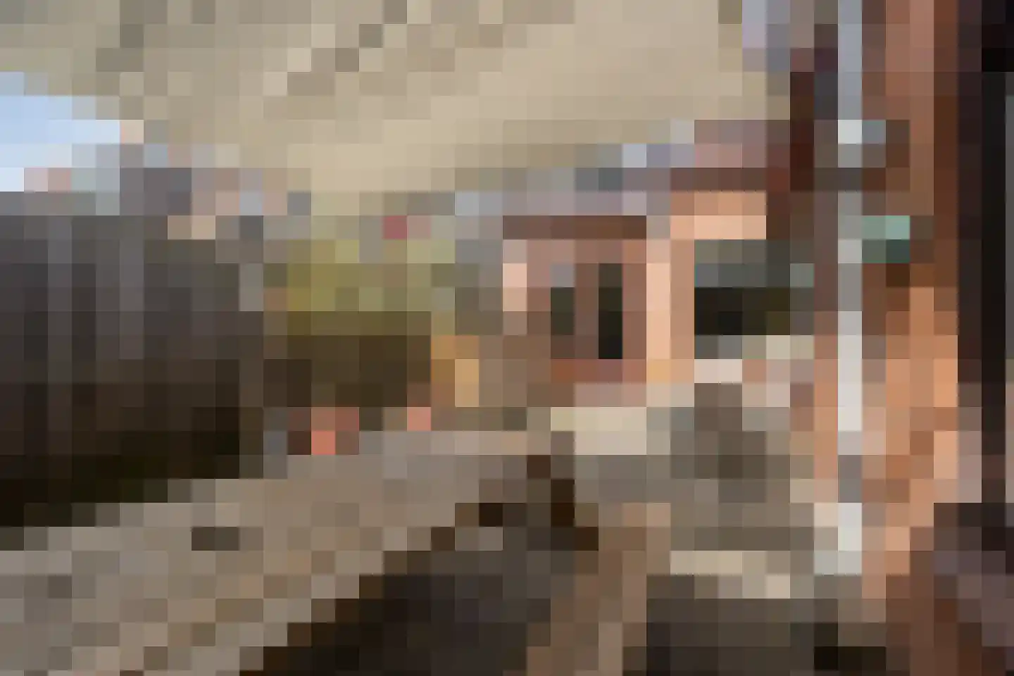 Haarlemmerweg 33 Leiden thumbnail 30