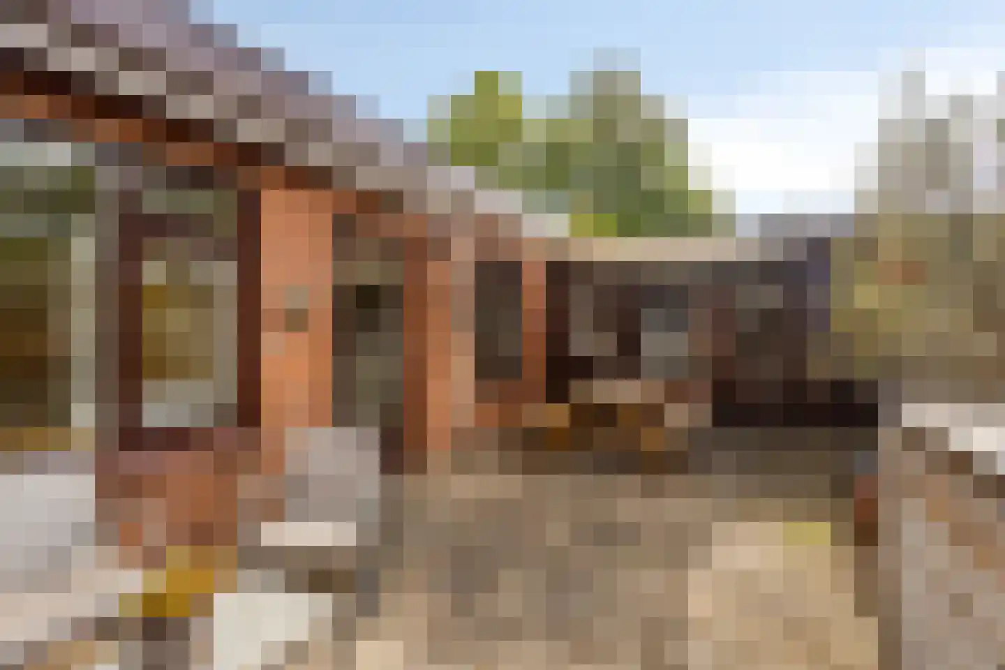 Haarlemmerweg 33 Leiden thumbnail 31