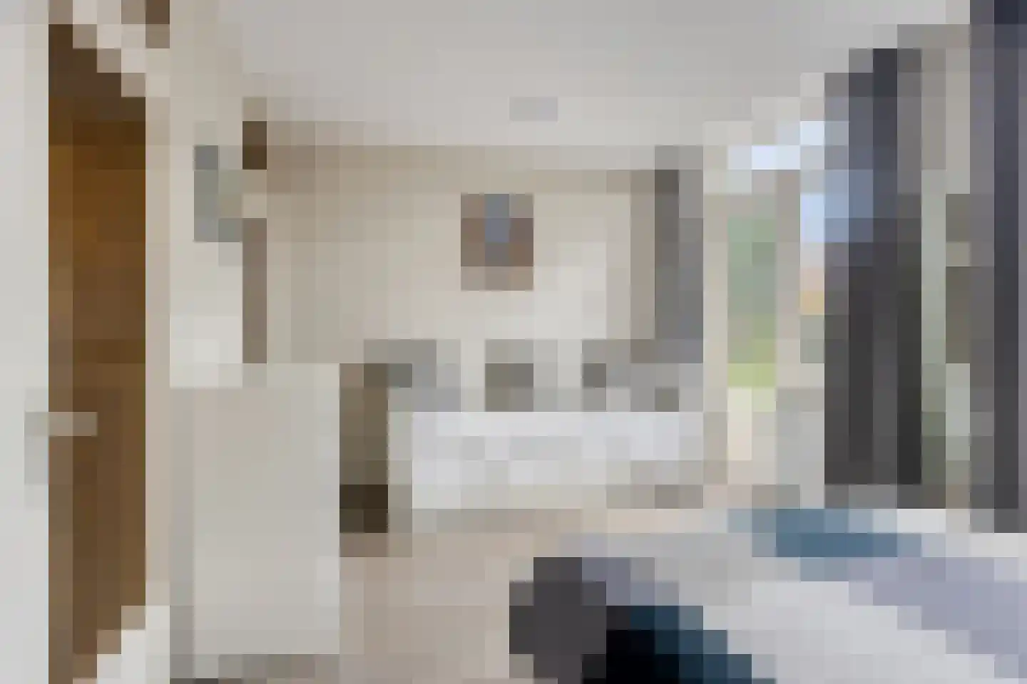Haarlemmerweg 33 Leiden thumbnail 43