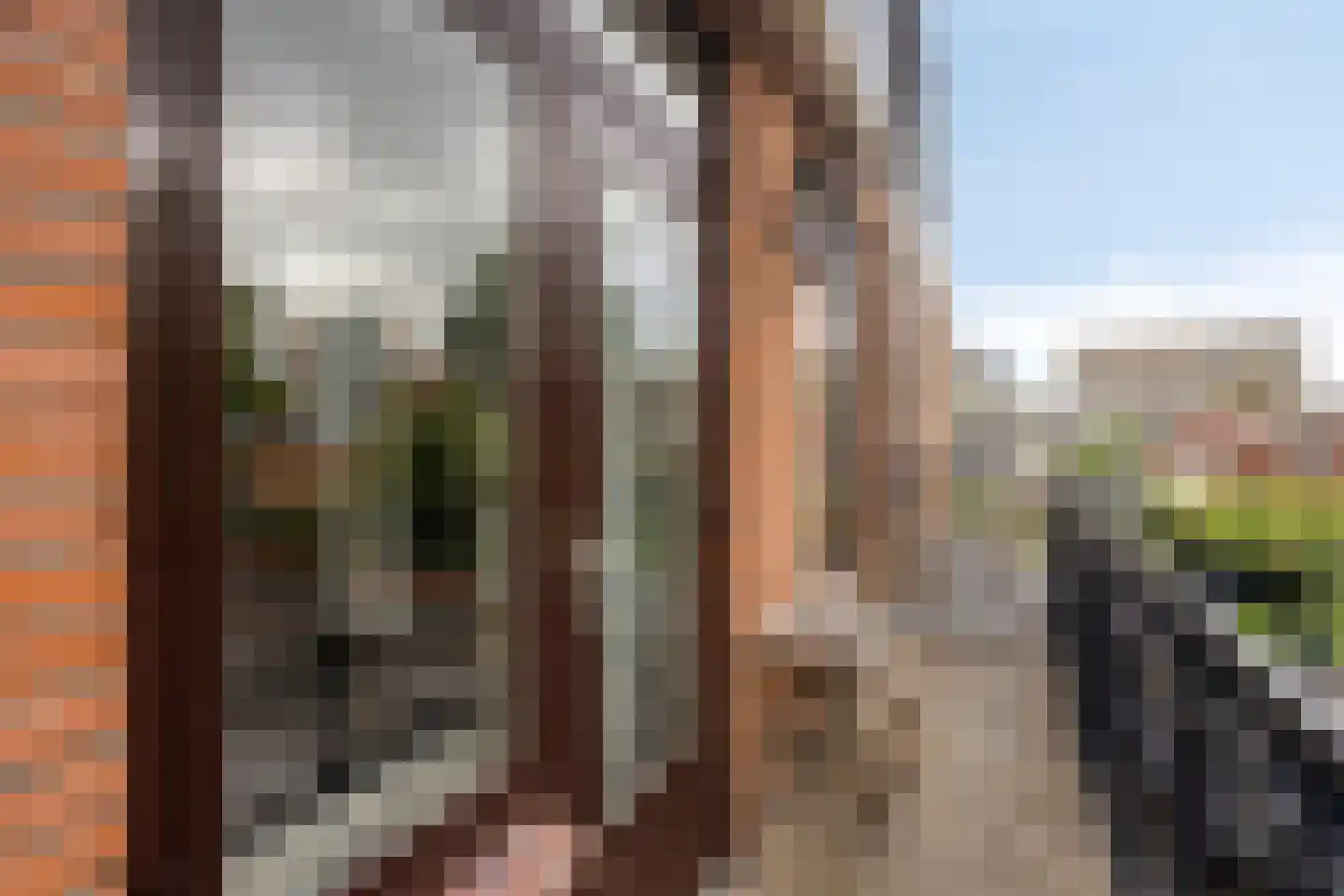 Haarlemmerweg 33 Leiden thumbnail 46
