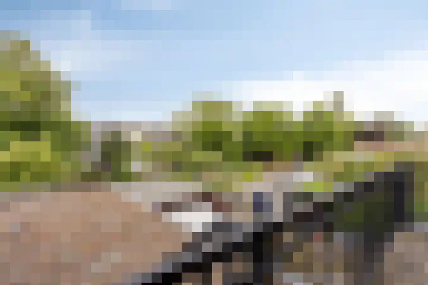 Haarlemmerweg 33 Leiden thumbnail 47