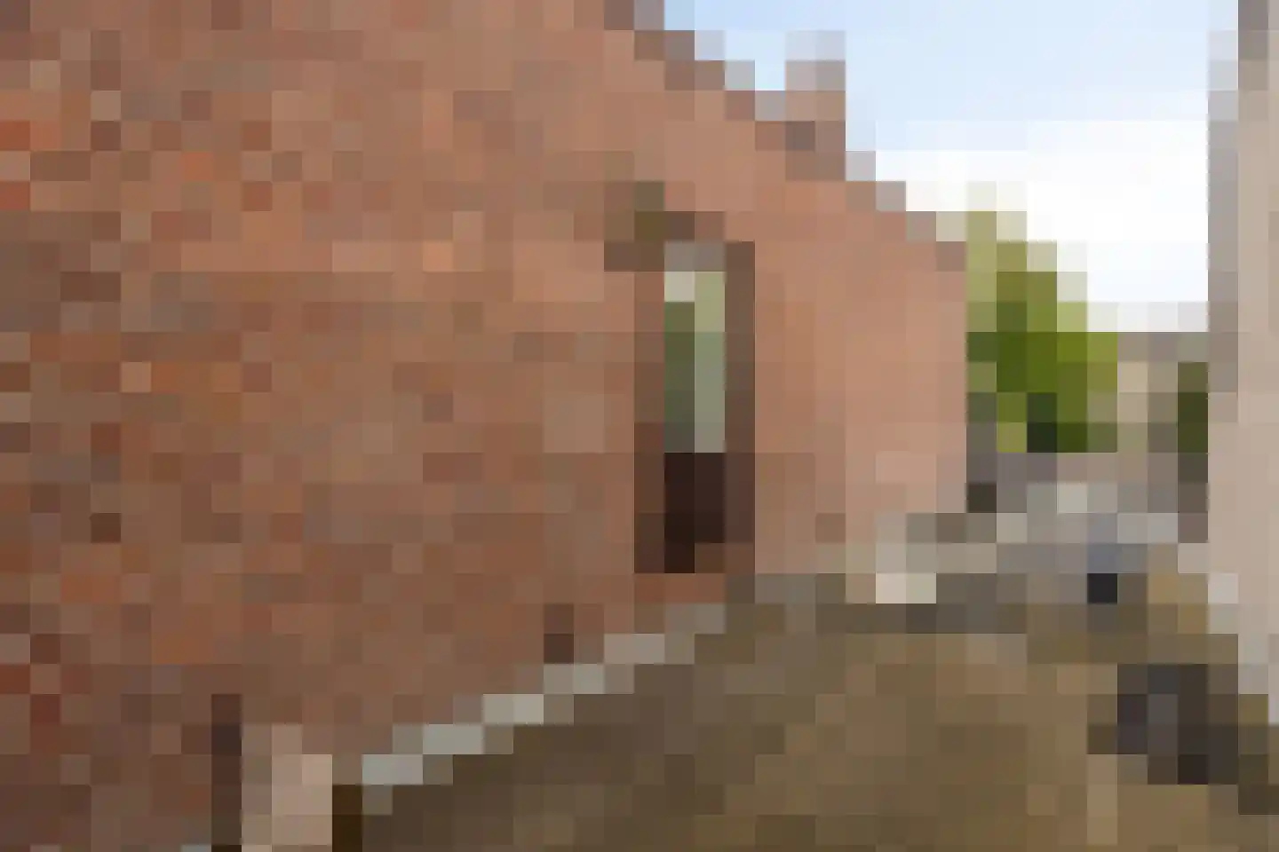 Haarlemmerweg 33 Leiden thumbnail 49