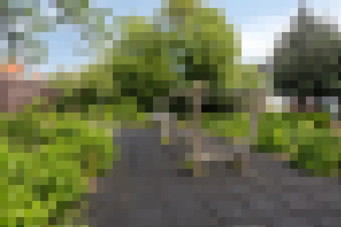 Haarlemmerweg 33 Leiden thumbnail 58