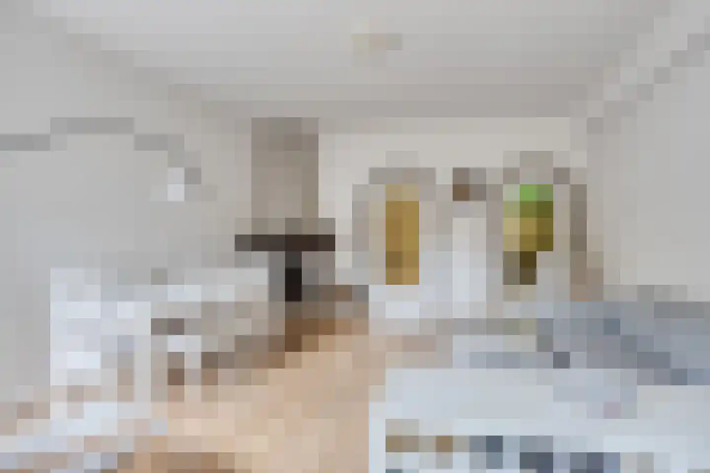 Haarlemmerweg 33 Leiden thumbnail 7