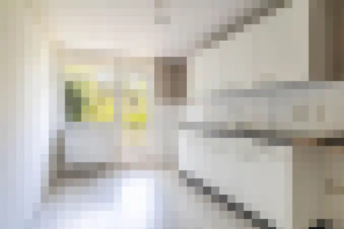 Haarlemmerweg 35 B Amsterdam thumbnail 7