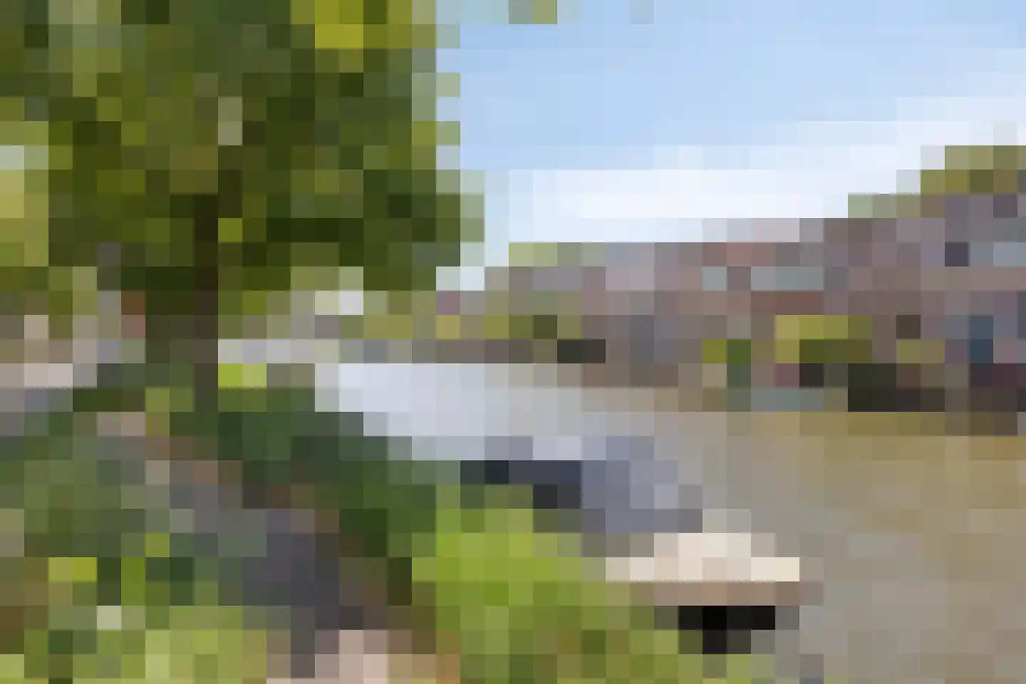Haarlemmerweg 44 Leiden thumbnail 4