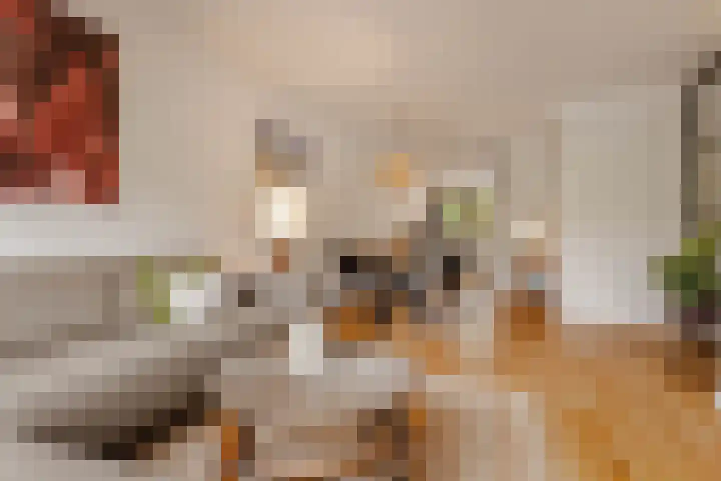 Haarlemmerweg 491 B Amsterdam thumbnail 5