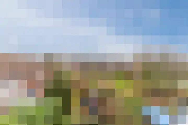 Haarlemplein 19 Almere thumbnail 33