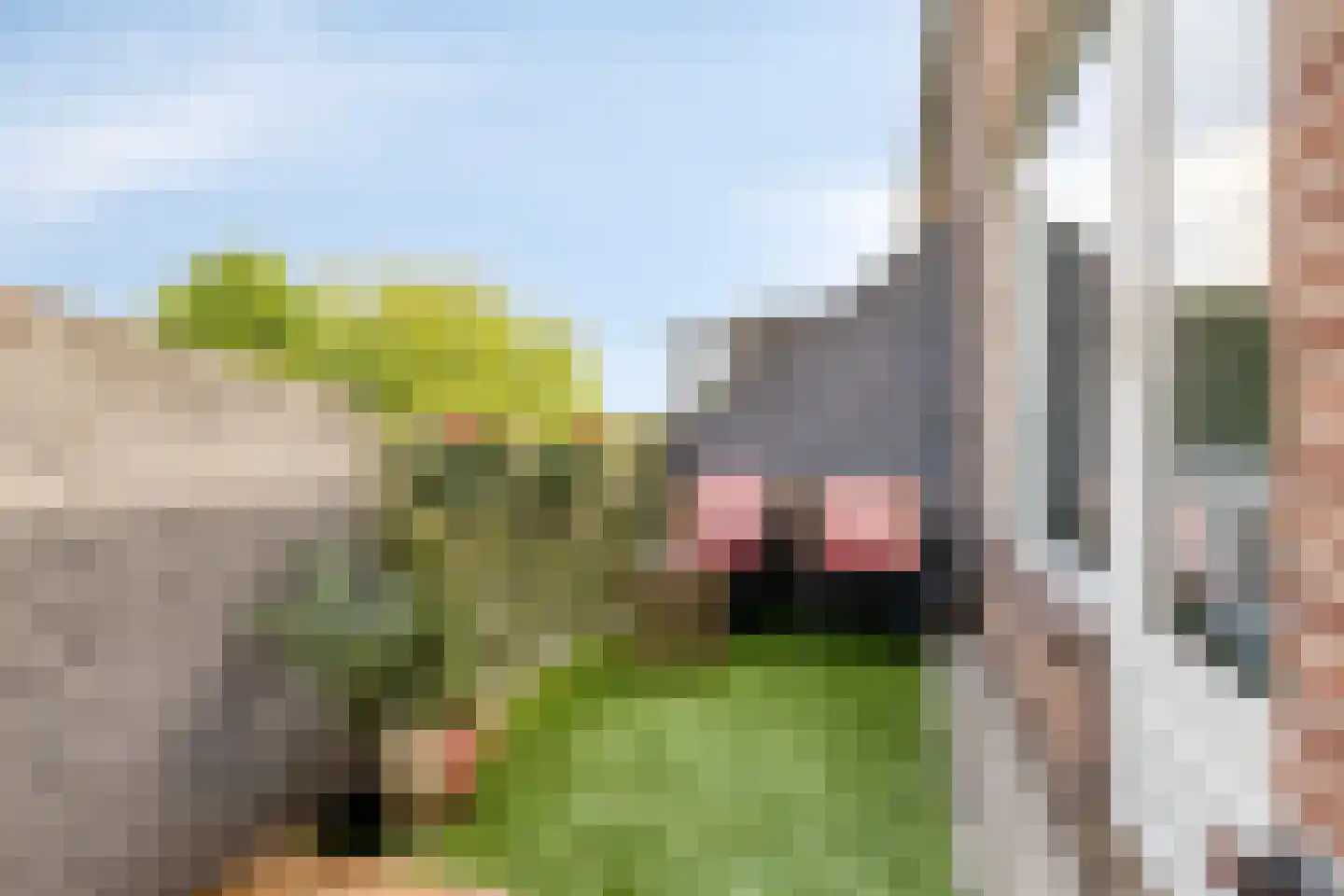 Haarlemplein 21 Almere thumbnail 31
