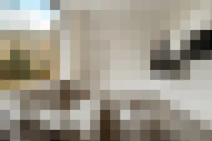 Haarlemplein 3 Almere thumbnail 11