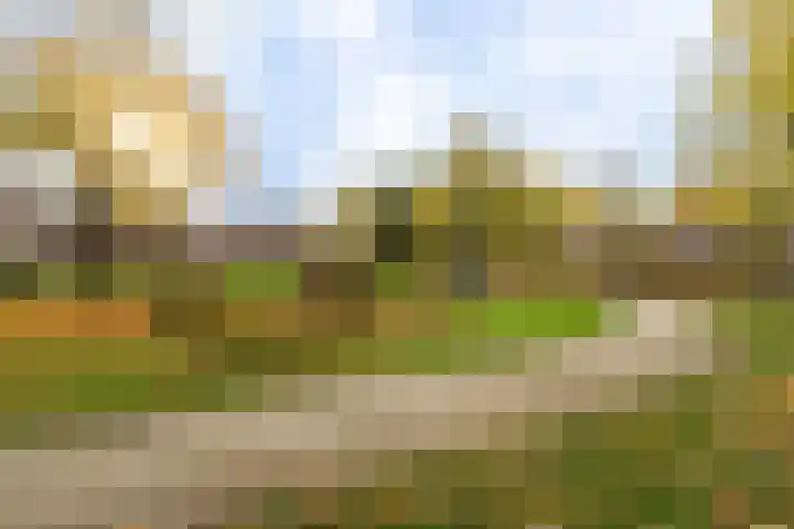 Haarlemplein 3 Almere thumbnail 20