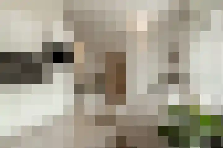 Haarlemplein 3 Almere thumbnail 5