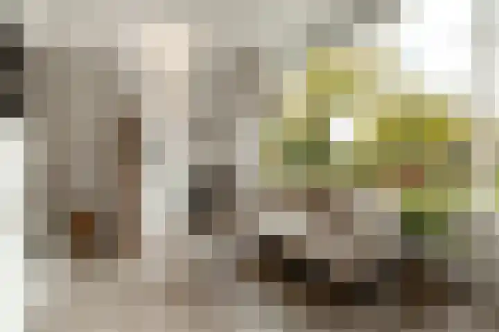 Haarlemplein 3 Almere thumbnail 6
