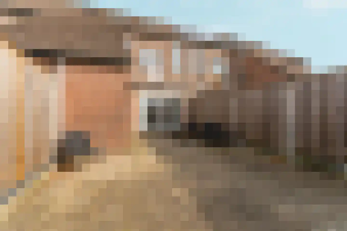 Haarlemplein 30 Almere thumbnail 39