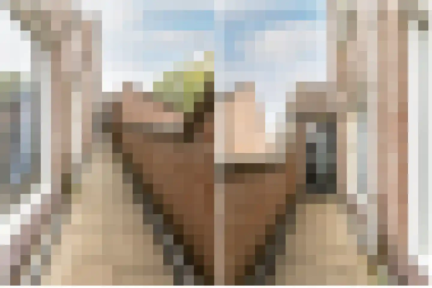 Haarlemplein 4 Almere thumbnail 9
