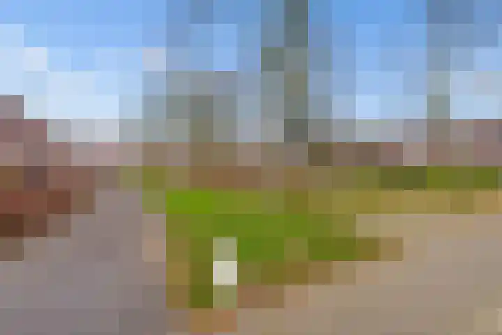 Haarlemplein 42 Almere thumbnail 33