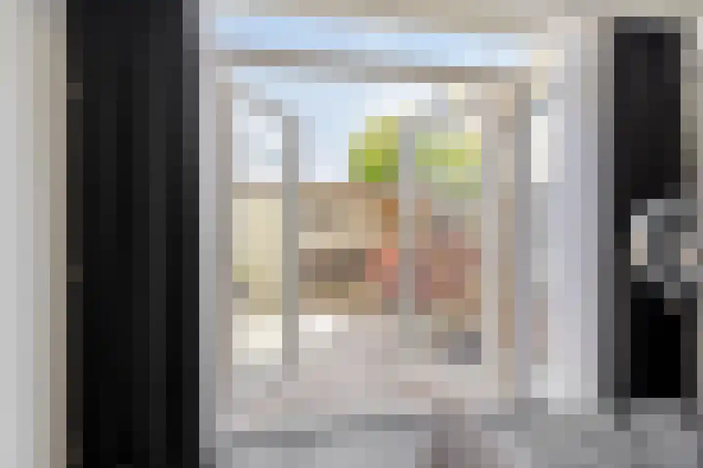 Haarlemstraat 15 's-Hertogenbosch thumbnail 10