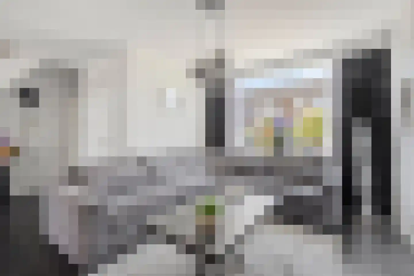 Haarlemstraat 15 's-Hertogenbosch thumbnail 5