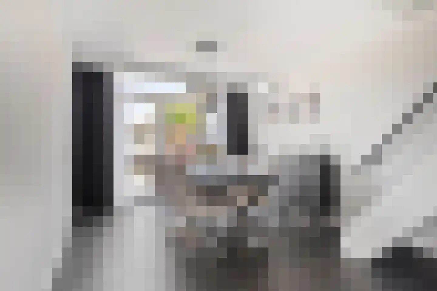 Haarlemstraat 15 's-Hertogenbosch thumbnail 7