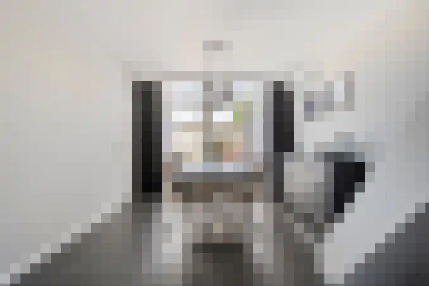 Haarlemstraat 15 's-Hertogenbosch thumbnail 8