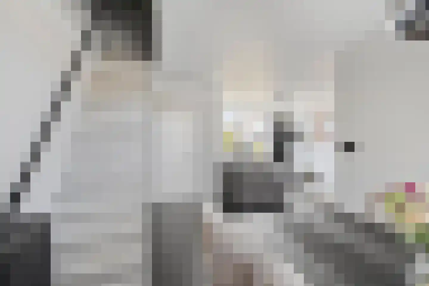 Haarlemstraat 15 's-Hertogenbosch thumbnail 9
