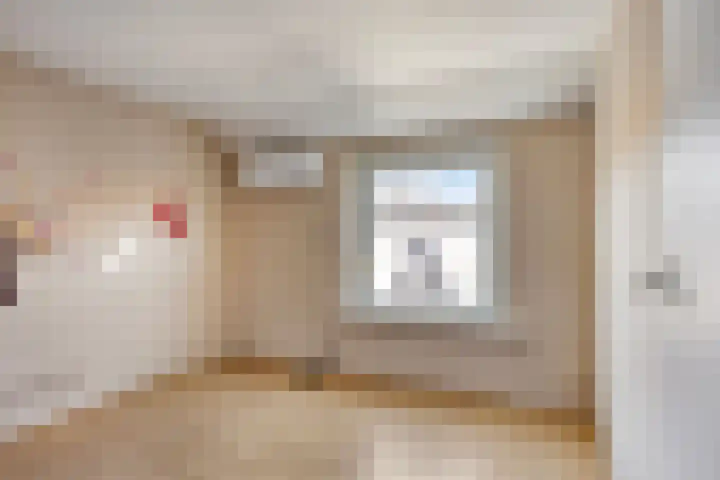 Haarlemstraat 17 Heerlen thumbnail 31