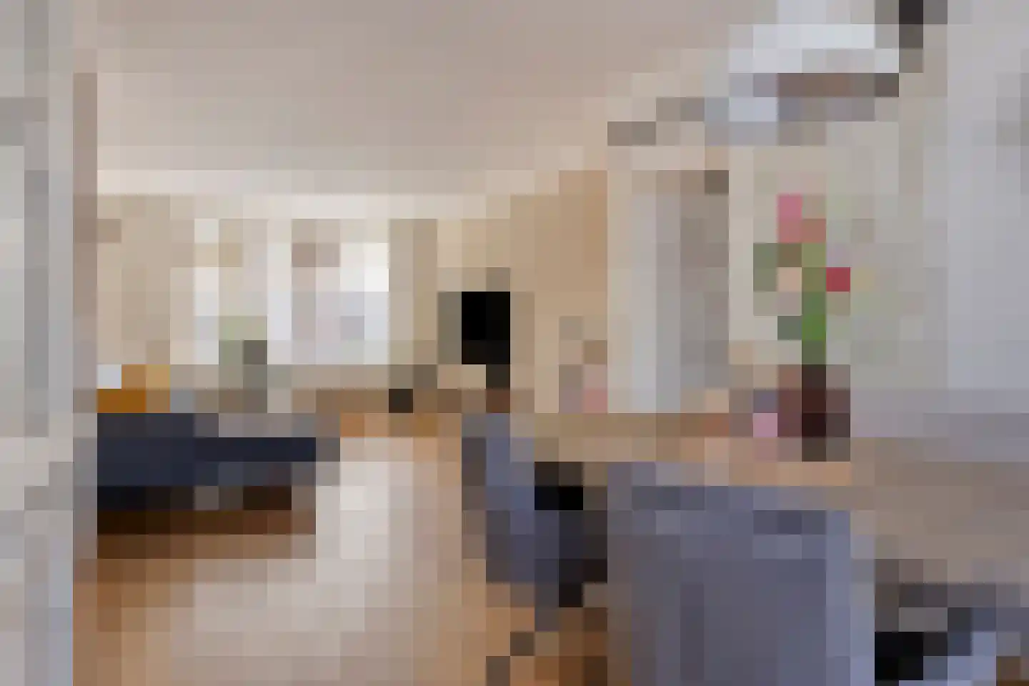 Haarlemstraat 20 's-Hertogenbosch thumbnail 11