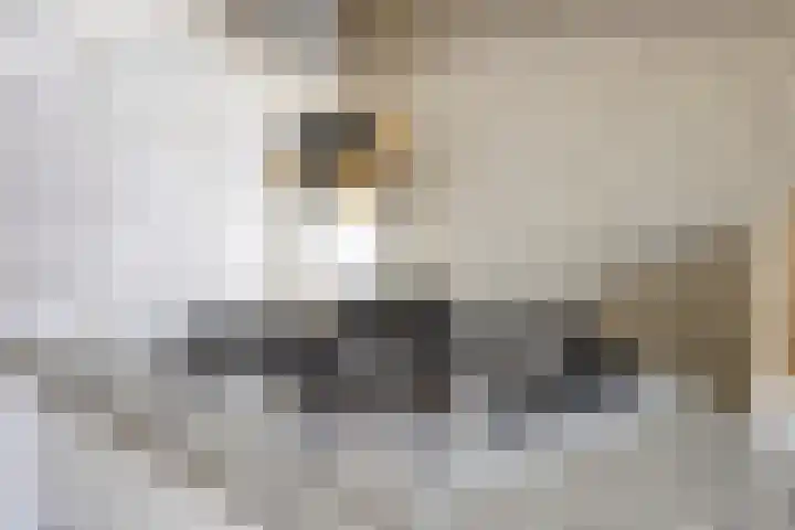 Haarlemstraat 20 's-Hertogenbosch thumbnail 14