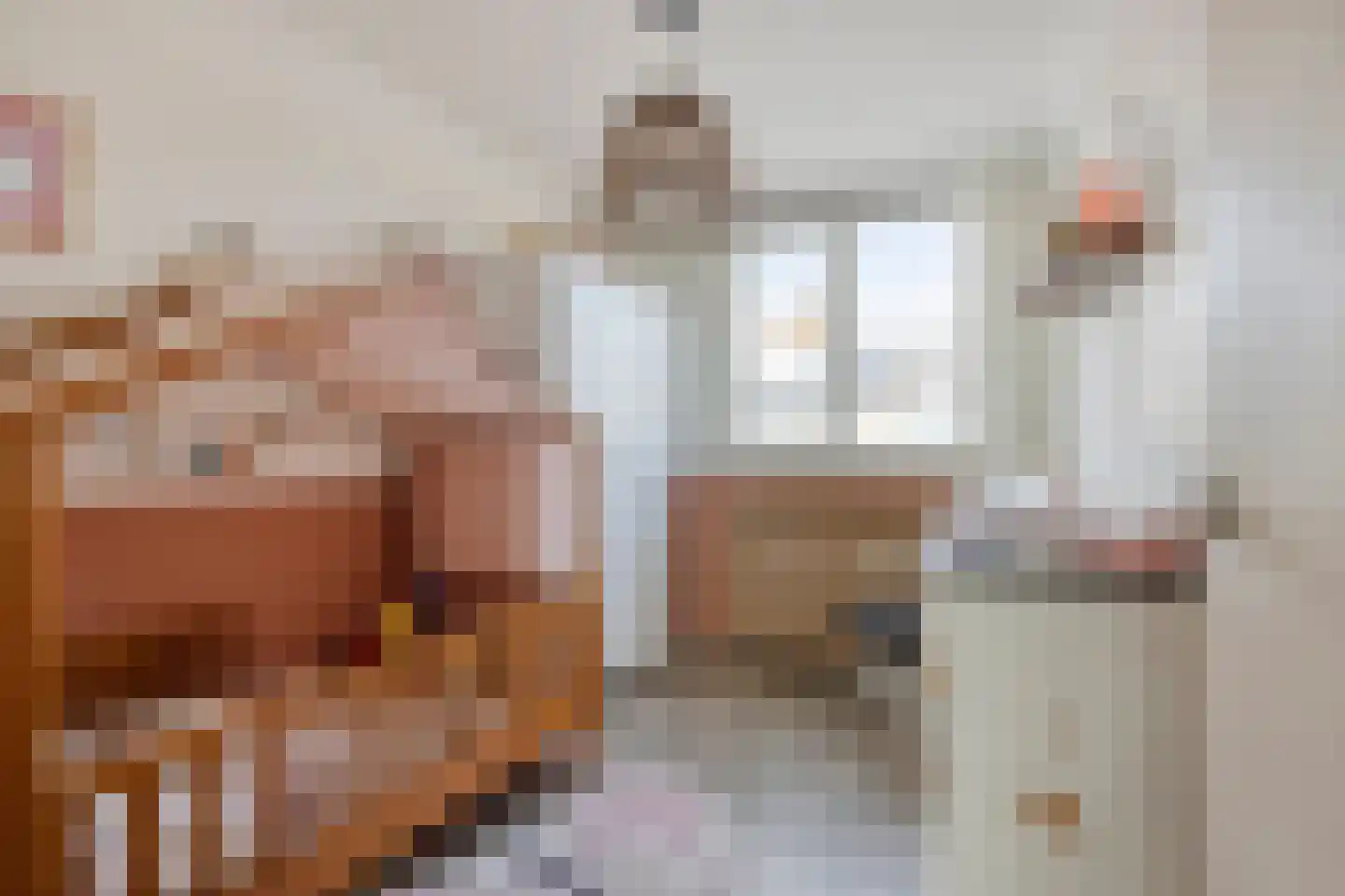 Haarlemstraat 20 's-Hertogenbosch thumbnail 25