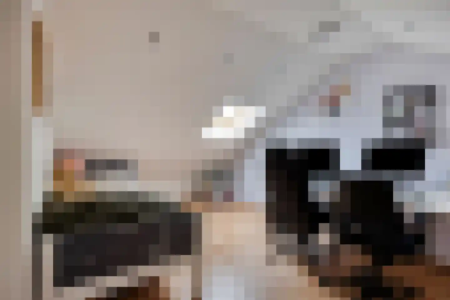 Haarlemstraat 20 's-Hertogenbosch thumbnail 30