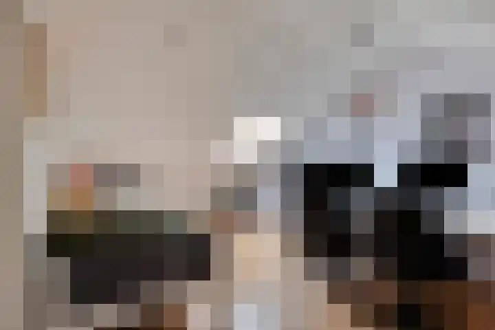 Haarlemstraat 20 's-Hertogenbosch thumbnail 30