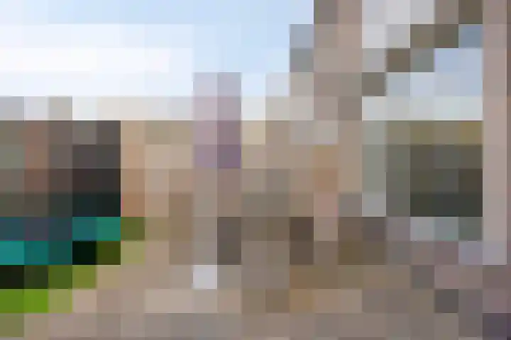 Haarlemstraat 20 's-Hertogenbosch thumbnail 33