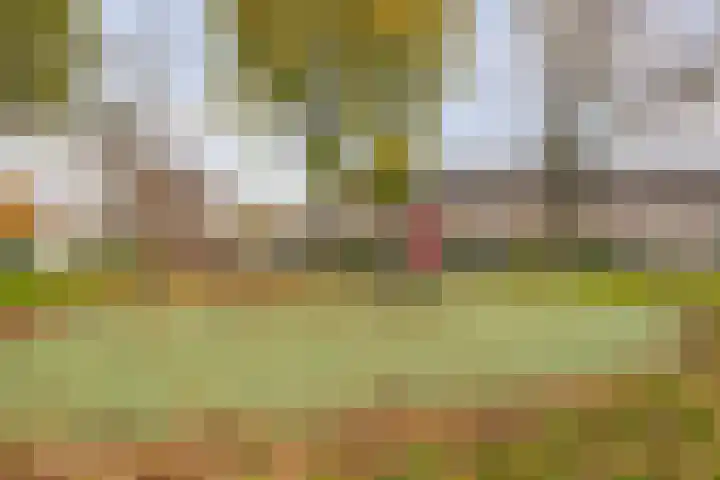 Haarlemstraat 20 's-Hertogenbosch thumbnail 38