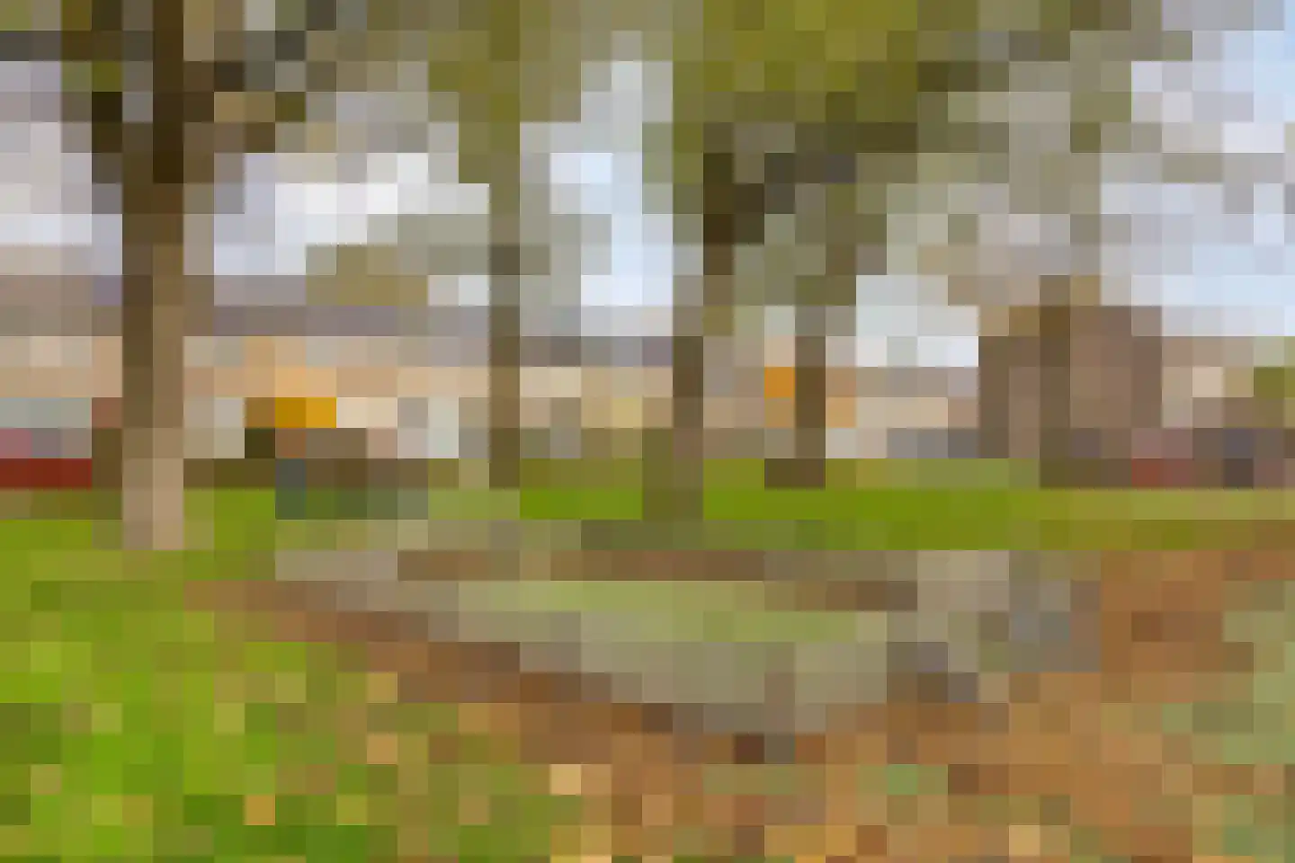 Haarlemstraat 20 's-Hertogenbosch thumbnail 39