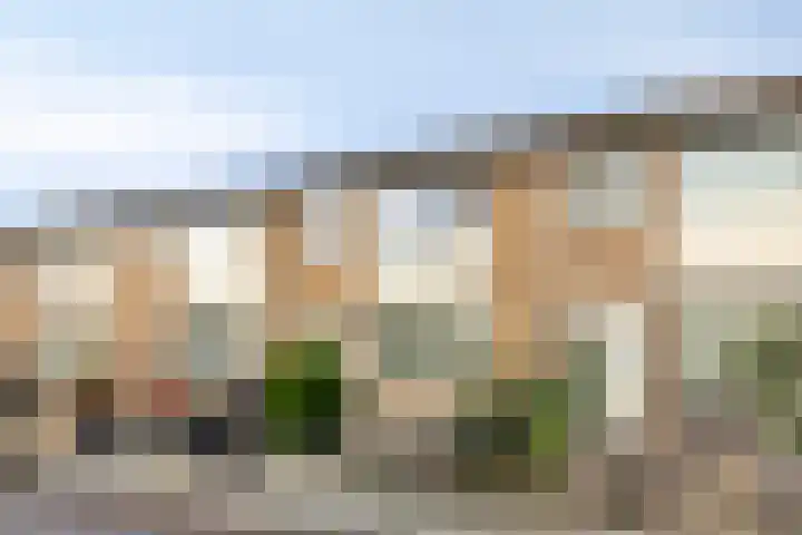 Haarlemstraat 20 's-Hertogenbosch thumbnail 40