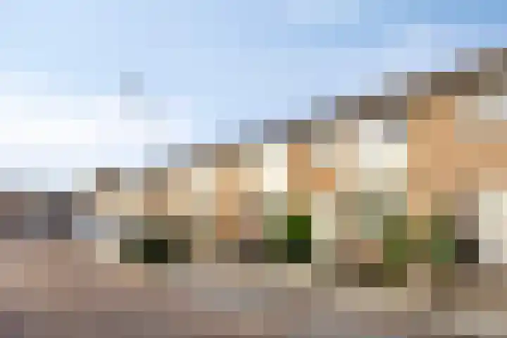Haarlemstraat 20 's-Hertogenbosch thumbnail 41