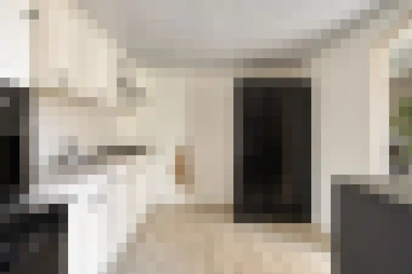 Haarlemstraat 41 's-Hertogenbosch thumbnail 12