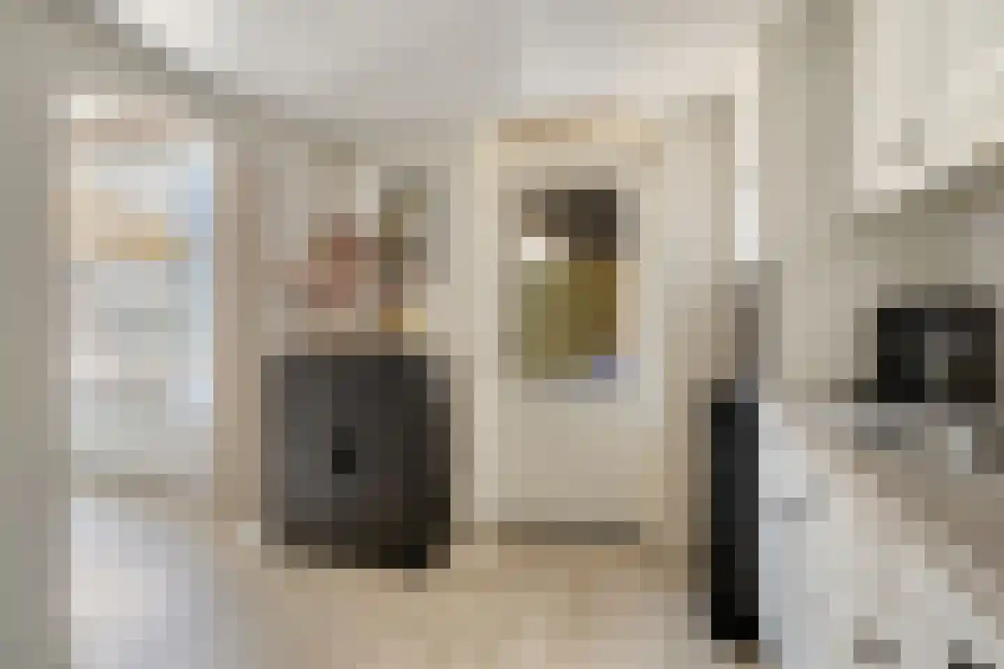 Haarlemstraat 41 's-Hertogenbosch thumbnail 13