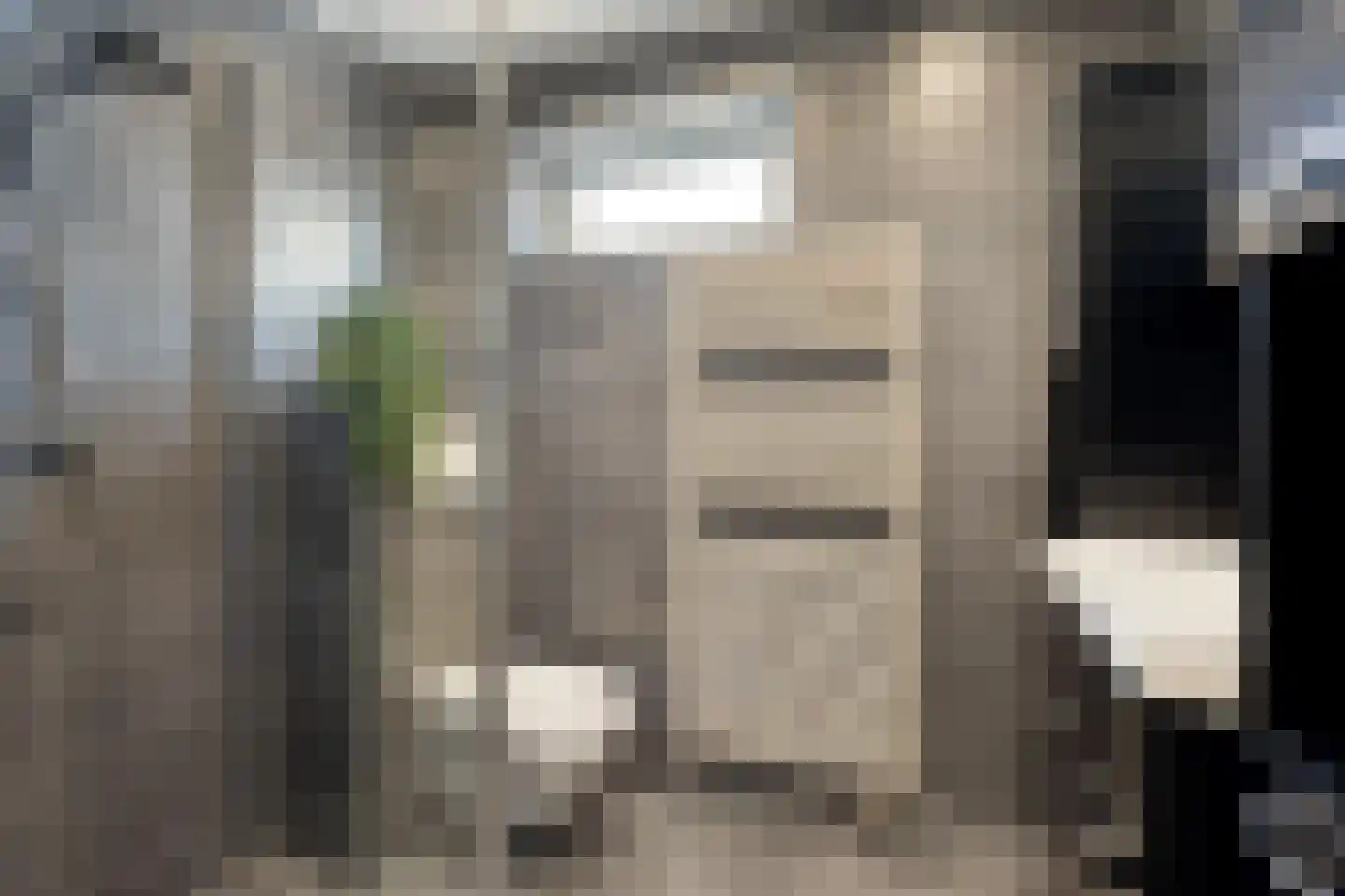 Haarlemstraat 41 's-Hertogenbosch thumbnail 19