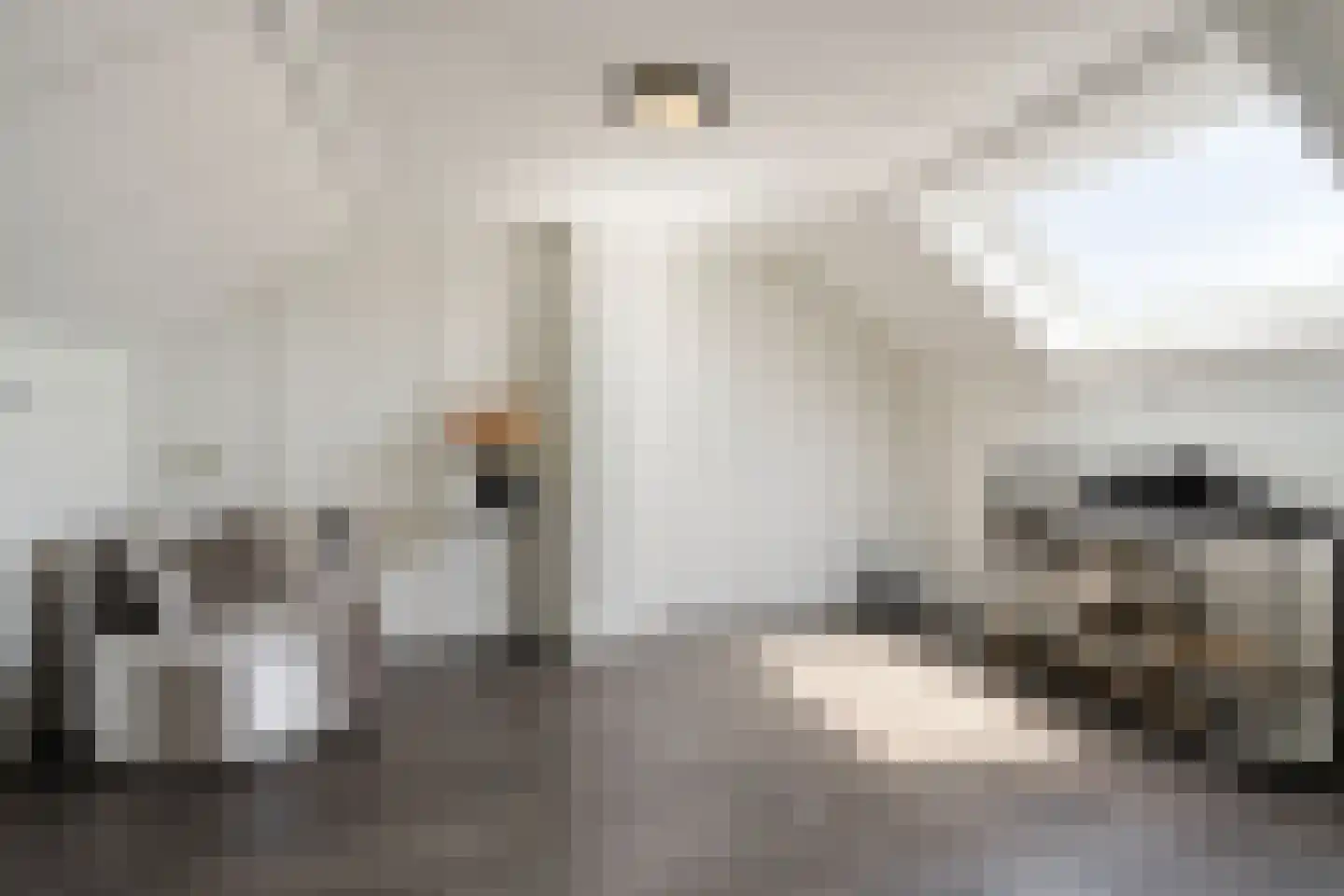 Haarlemstraat 41 's-Hertogenbosch thumbnail 25