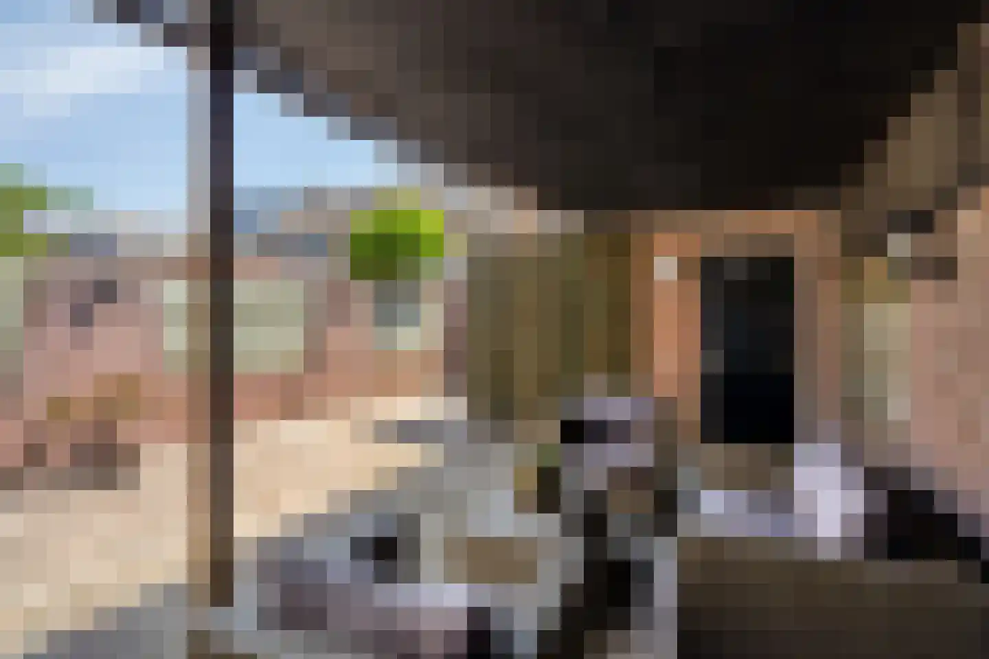 Haarlemstraat 41 's-Hertogenbosch thumbnail 27