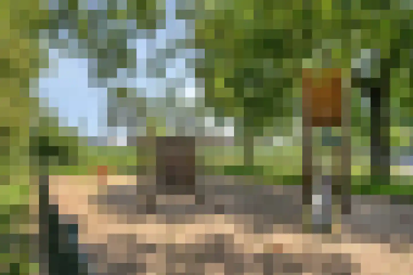 Haarlemstraat 41 's-Hertogenbosch thumbnail 33