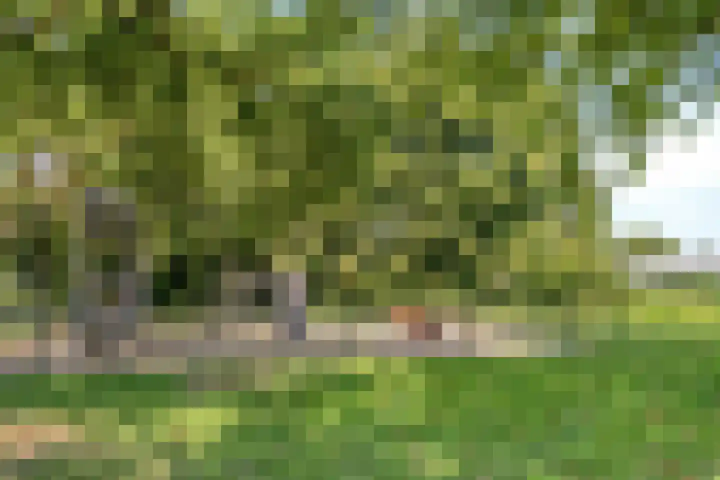 Haarlemstraat 41 's-Hertogenbosch thumbnail 35