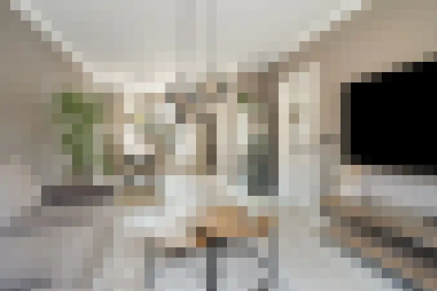 Haarlemstraat 41 's-Hertogenbosch thumbnail 4