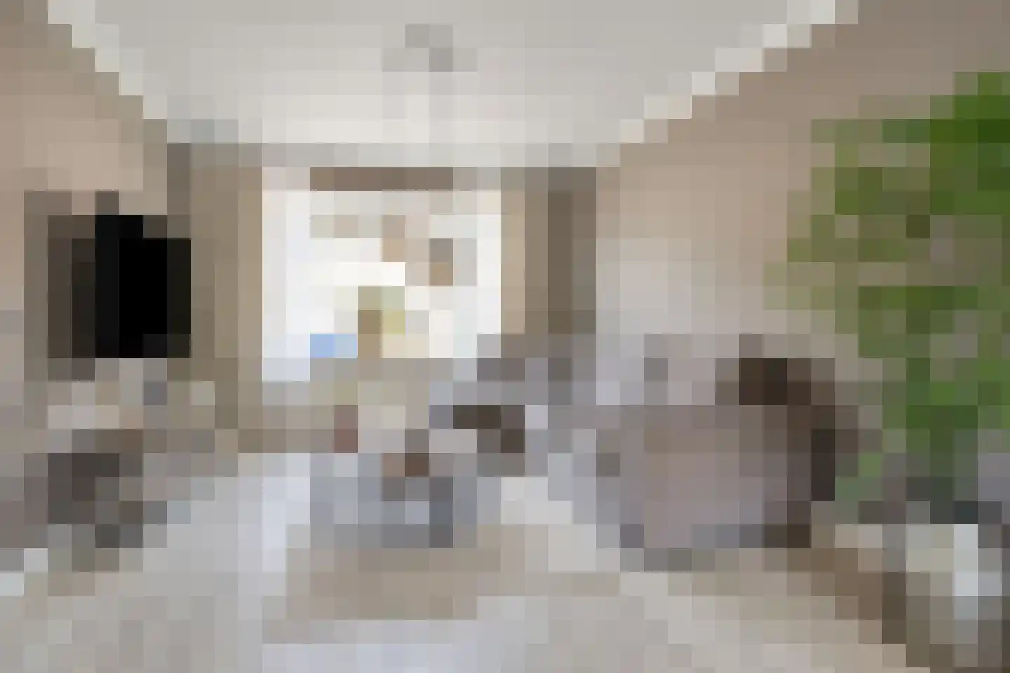 Haarlemstraat 41 's-Hertogenbosch thumbnail 5