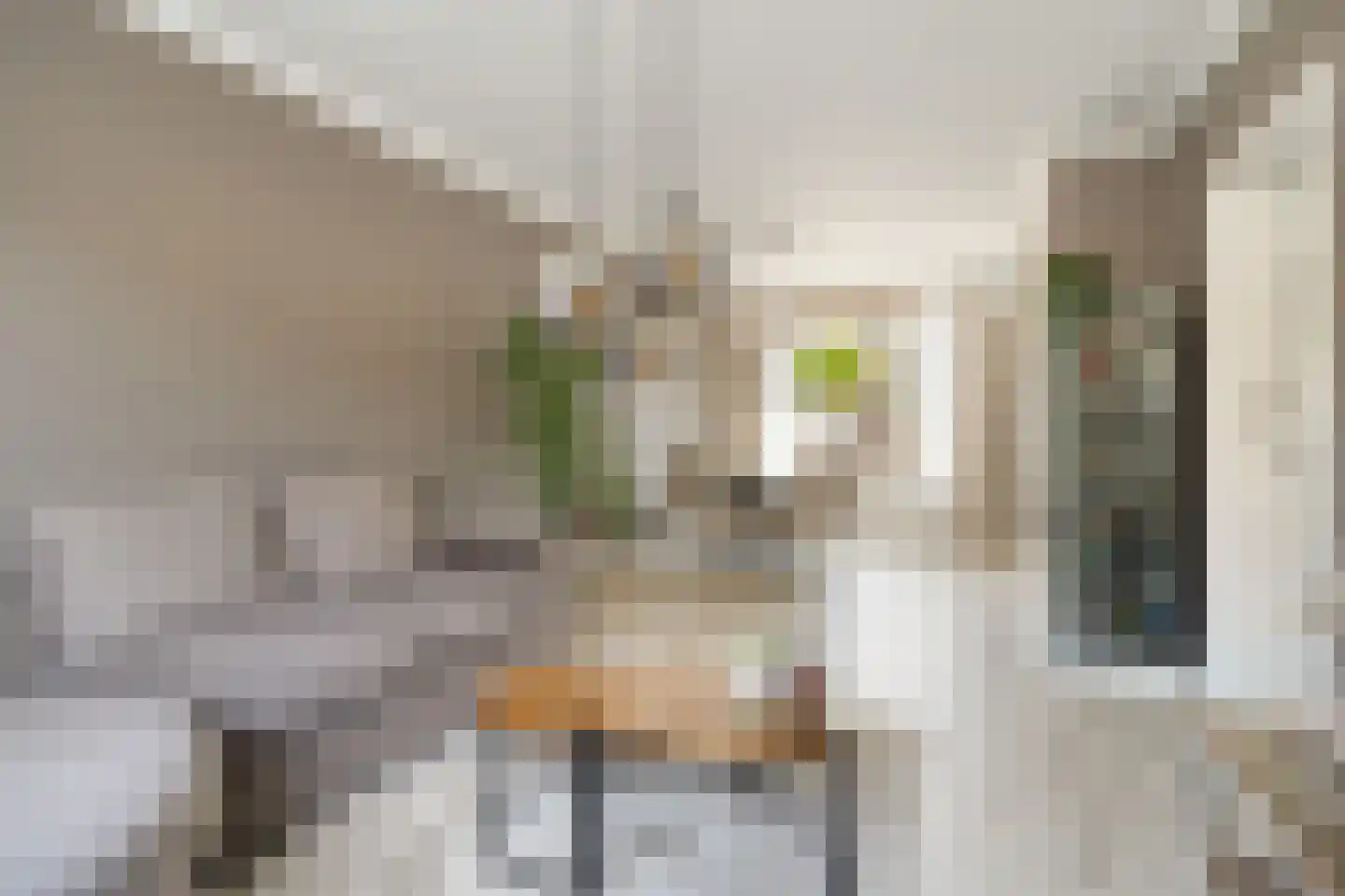 Haarlemstraat 41 's-Hertogenbosch thumbnail 6