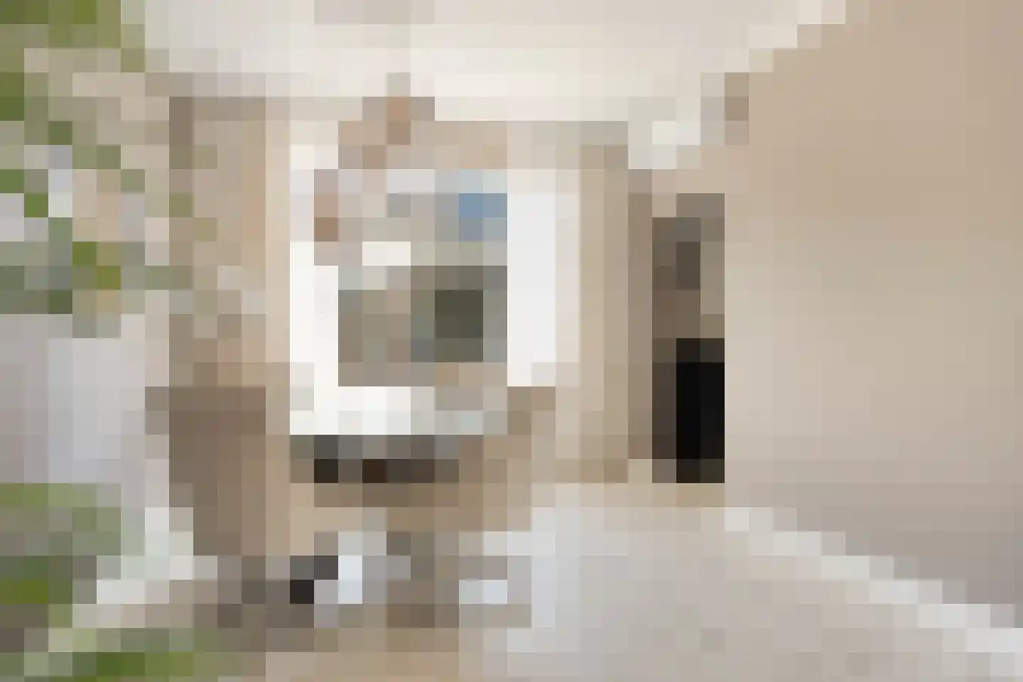 Haarlemstraat 41 's-Hertogenbosch thumbnail 8